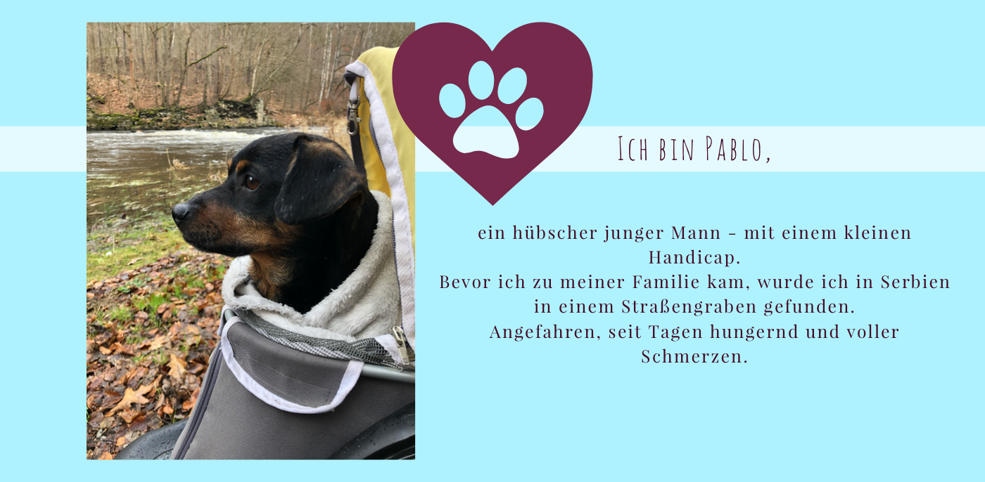 20210129_222834967_iOS