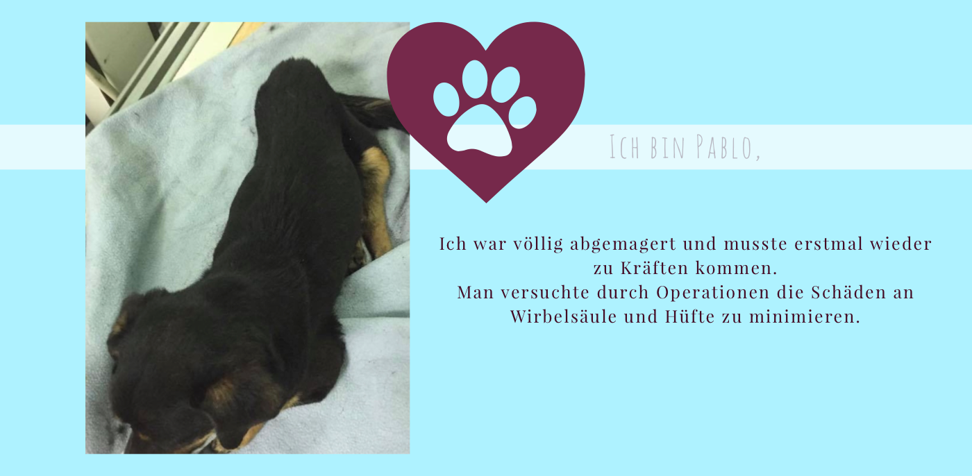 20210129_224354091_iOS