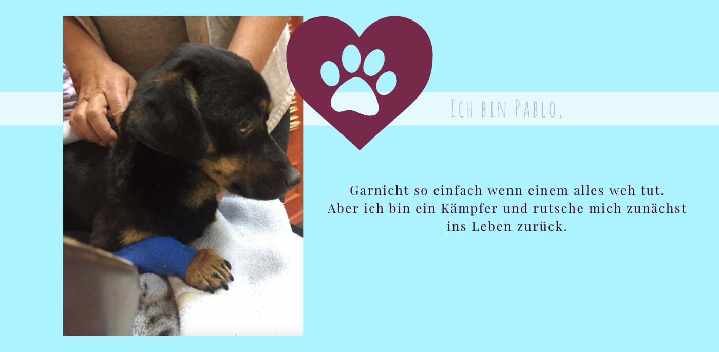 20210129_224520382_iOS