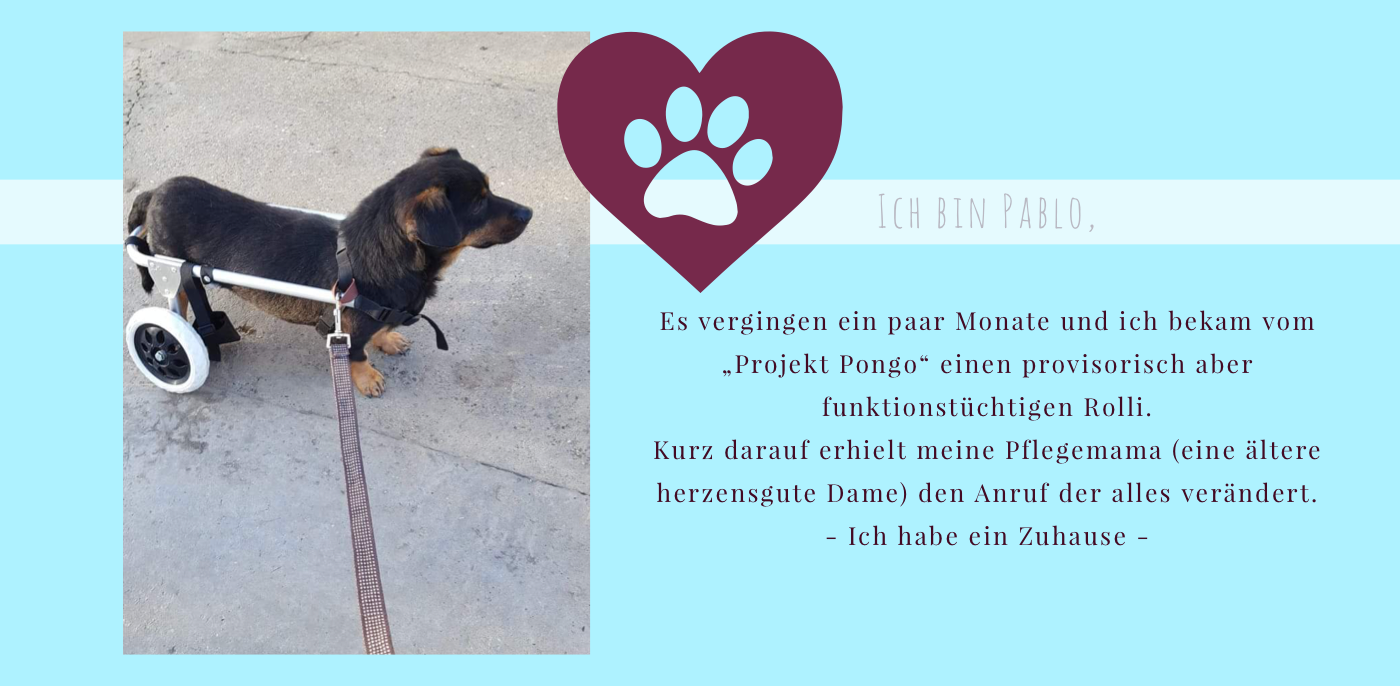 20210129_224616371_iOS