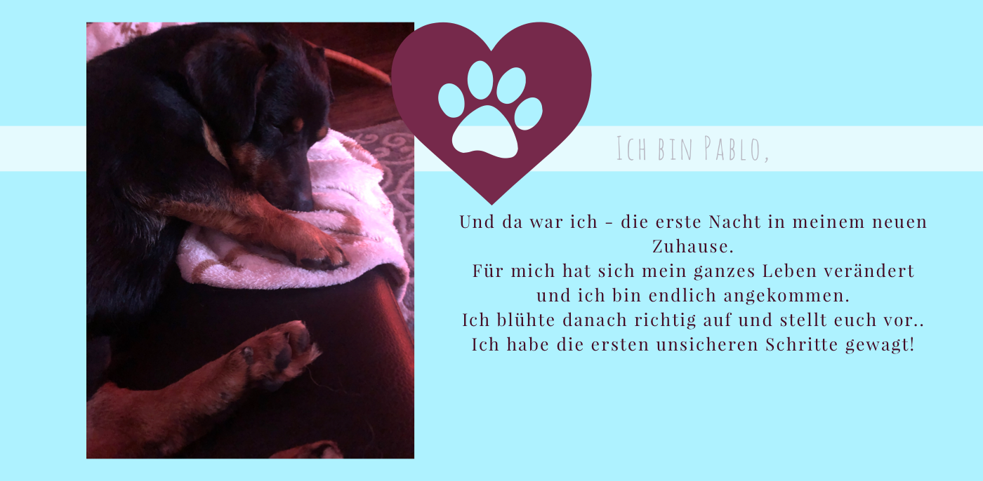 20210129_224726532_iOS