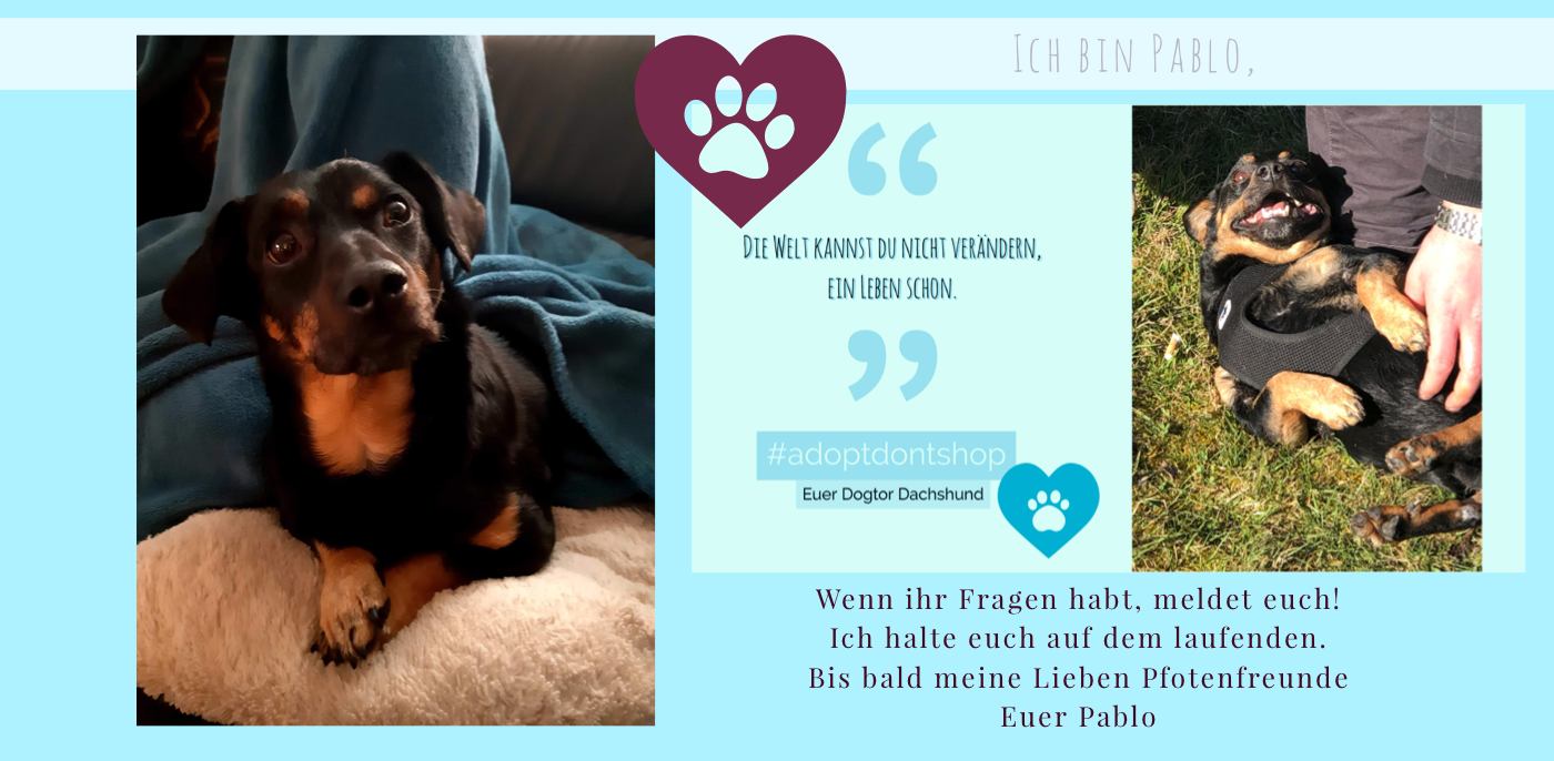 20210129_225320291_iOS