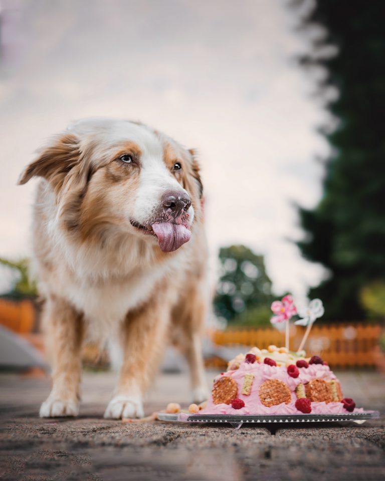 20210828_142211000_iOS