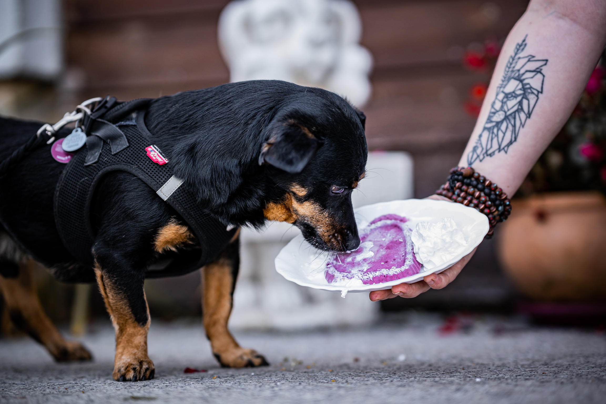 20211001_115506000_iOS